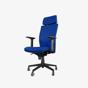 Fauteuil APOLLON avec têtière